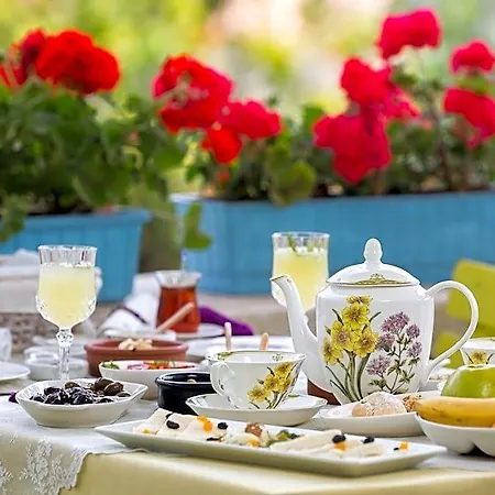 فندق Chigdem Hotel-special Category ألاتشاتي